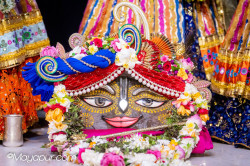 Daily Darshan