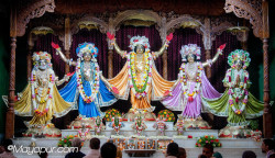 Daily Darshan
