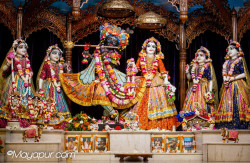Daily Darshan