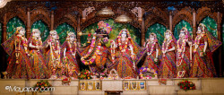 Daily Darshan