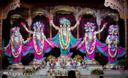 Daily Darshan