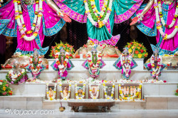 Daily Darshan