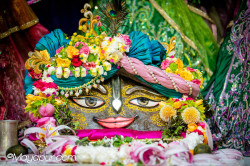 Daily Darshan