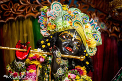 Daily Darshan