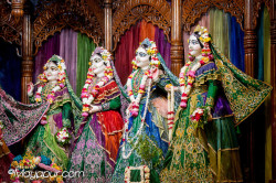 Daily Darshan