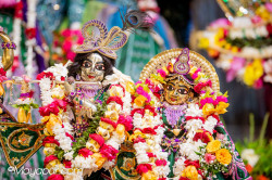 Daily Darshan