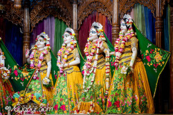 Daily Darshan