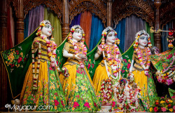 Daily Darshan