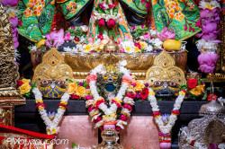 Daily Darshan