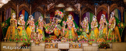 Daily Darshan