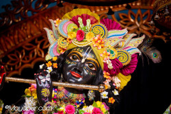 Daily Darshan