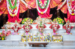 Daily Darshan