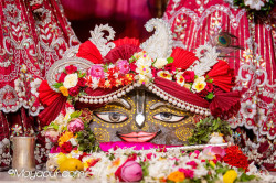 Daily Darshan