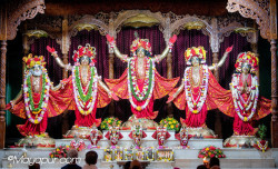 Daily Darshan