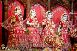 Daily Darshan