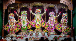 Daily Darshan