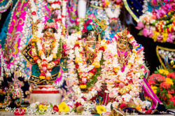 Daily Darshan