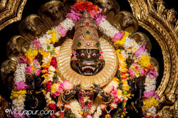 Daily Darshan