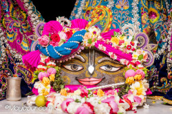 Daily Darshan