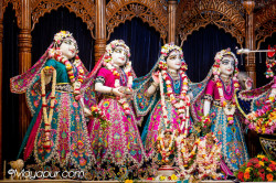Daily Darshan