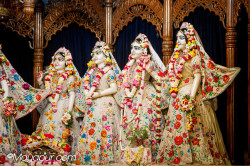 Daily Darshan