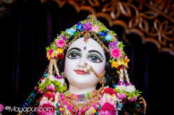 Daily Darshan
