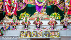 Daily Darshan
