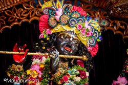 Daily Darshan