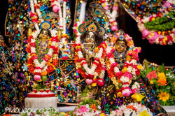 Daily Darshan