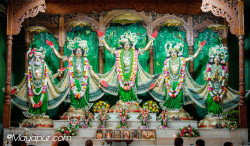 Daily Darshan