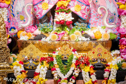 Daily Darshan