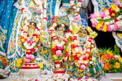 Daily Darshan