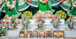 Daily Darshan