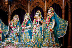 Daily Darshan