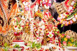 Daily Darshan