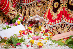 Daily Darshan