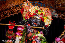 Daily Darshan