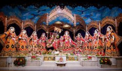 Daily Darshan