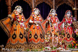 Daily Darshan