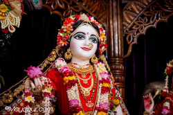 Daily Darshan