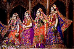 Daily Darshan