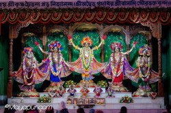 Daily Darshan
