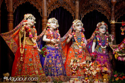 Daily Darshan