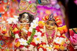 Daily Darshan