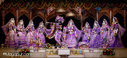 Daily Darshan