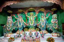 Daily Darshan