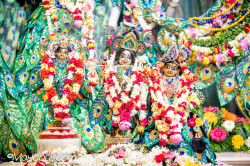 Daily Darshan