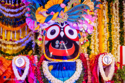 Daily Darshan
