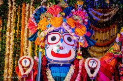 Daily Darshan