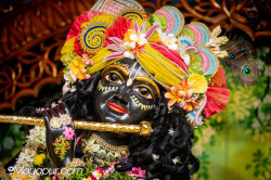Daily Darshan